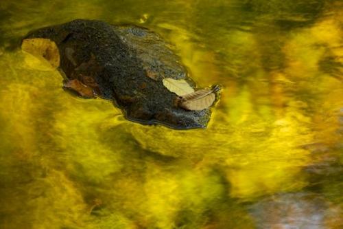 Green;Leaves;Green Mountain National Forest;Horizontal;Leafy;lake;Abstracts;Patterns;Brown;Gold;pond;water;Boulder;Rock;Stones;Leaf;reflection;Autumn;Fall;Vermont;Yellow;Rocks;reflections;White Rocks National Recreation Area;Abstract;Orange